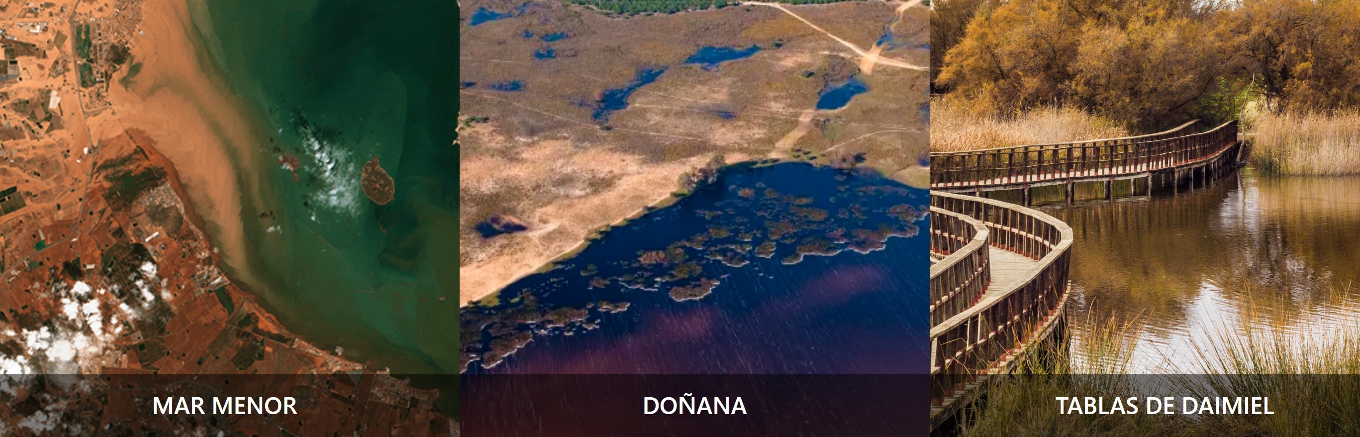  Un proyecto cartagenero de transformación cultural, seleccionado por el Ministerio de Cultura: 